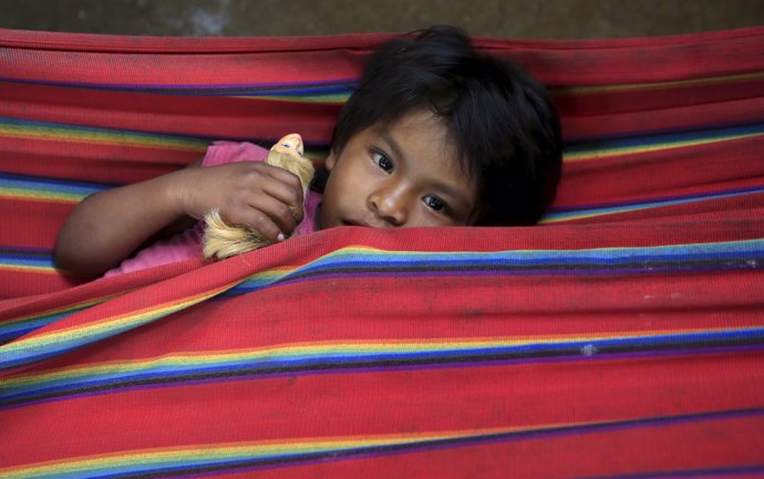 Encuentran a 23 niños venezolanos en estados de nutrición en Colombia