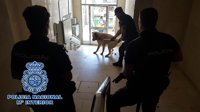 La Policía inmoviliza a un perro en Algeciras tras causar lesiones graves al dueño de la vivienda y a un amigo