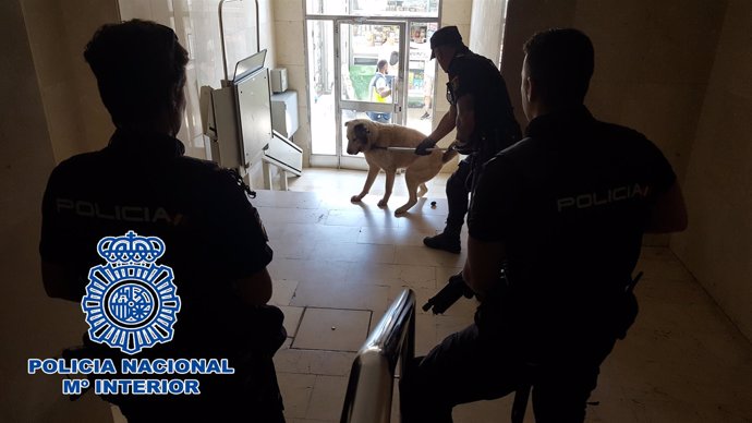 Policía inmoviliza a un perro fuera de control