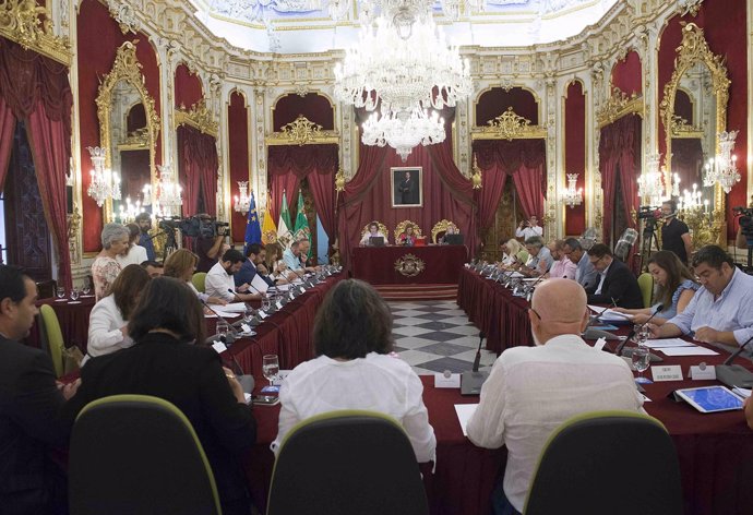 Pleno de junio de la Diputación de Cádiz
