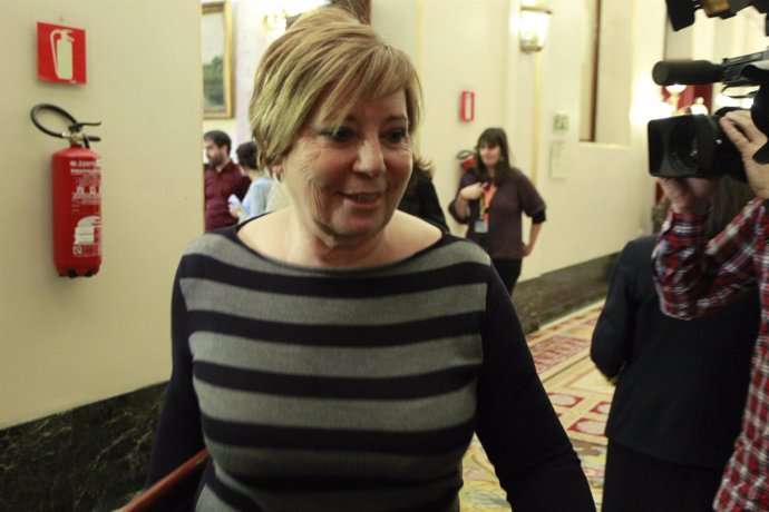 Celia Villalobos en el Congreso