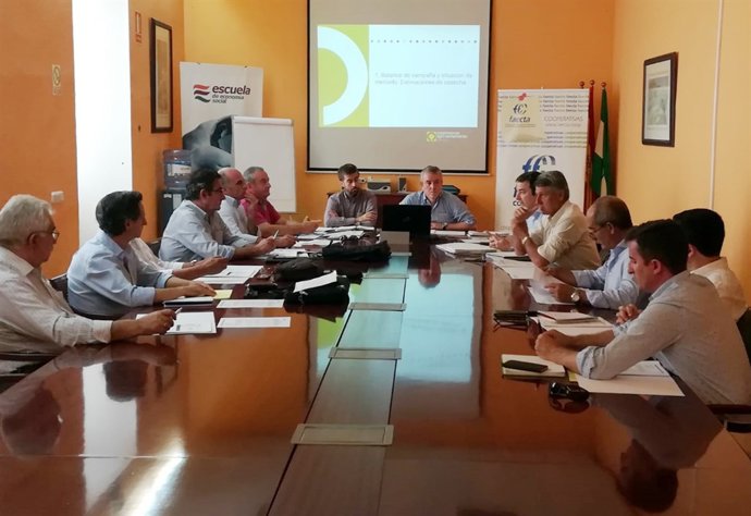 Consejo Sectorial Aceite 