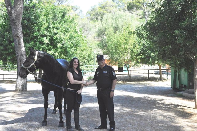 La Policía Local de Palma cede a una ciudadana un caballo de pura raza que ya no era operativo para tareas policiales