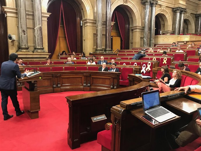 Ple del Parlament