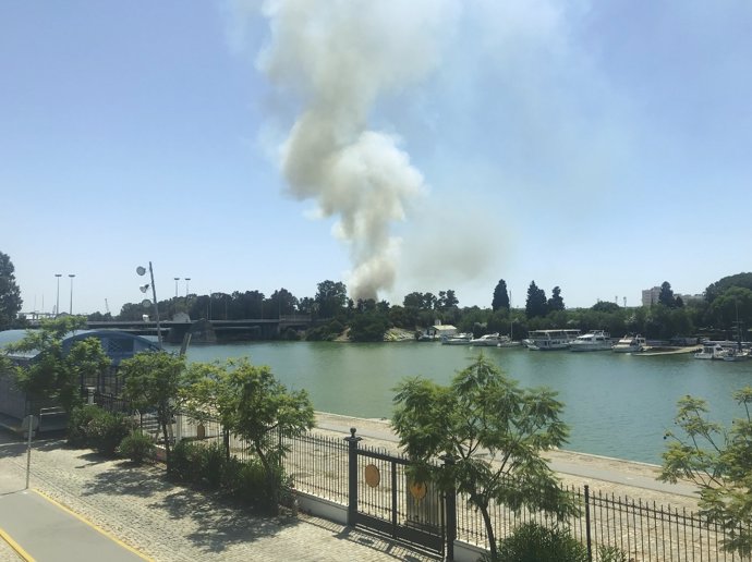 El incendio de pastos en Puerto de Sevilla se ha visto desde distintos puntos