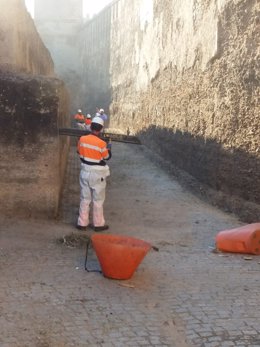 Equipo de Lipassam limpiando los alrededores de la Muralla de la Macarena