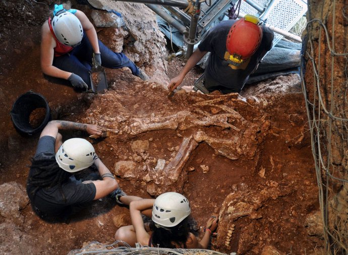 Descubren en Castelldefels el esqueleto de una especie extinguida de rinoceronte