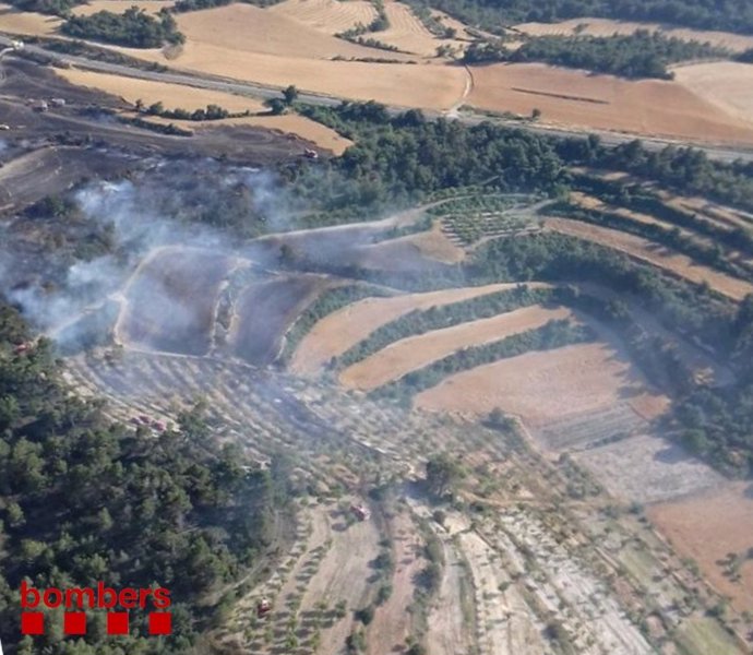 Incendio forestal y agrícola de Ciutadilla