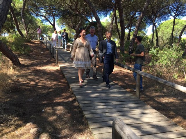 La Junta repara las pasarelas del Paraje Natural Enebrales. 