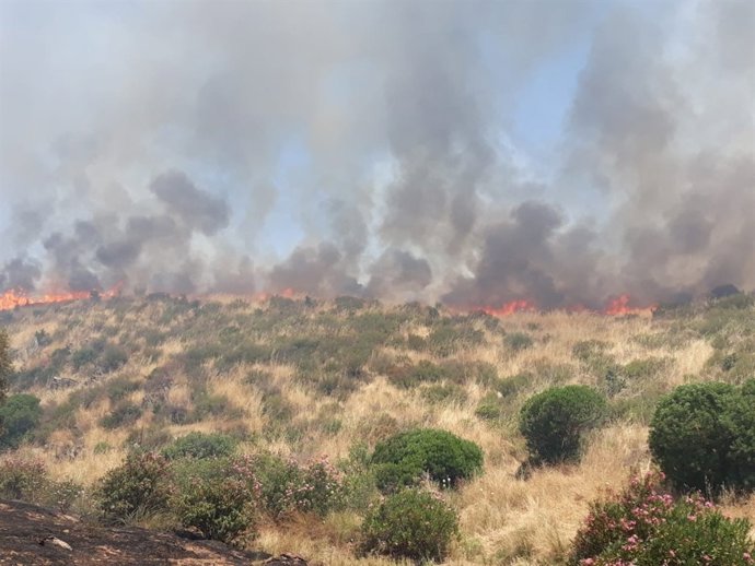 Zona afectada por el incendio en Los Blazquez