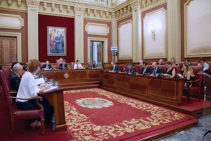 Pleno del Ayuntamiento