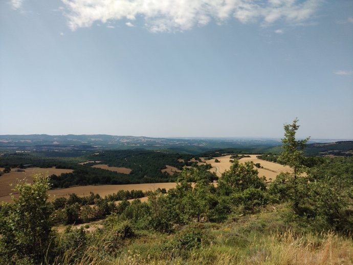 Zona boscosa alrededor del santuario del Miracle, en Riner (Lleida)