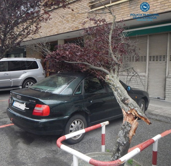 Un árbol caído sobre un coche.