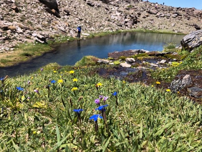 Laguna en Sierra Nevada