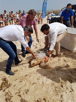 José Fiscal liberando una tortuga boba en Tarifa