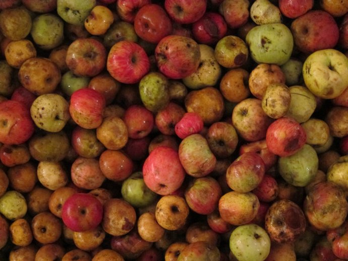 Pomes (arxiu)