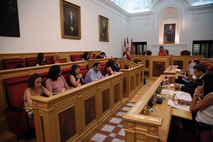 Pleno de Toledo en Debate del Estado del Municipio