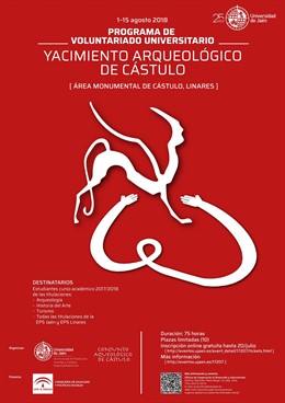 Cartel de la actividad