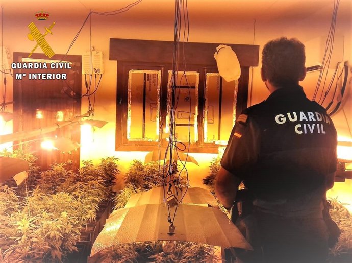 Marihuana intervenida en Roquetas 