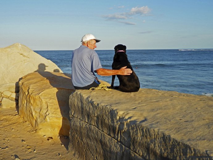 Un hombre mayor con un perro, alzheimer, animalterapia