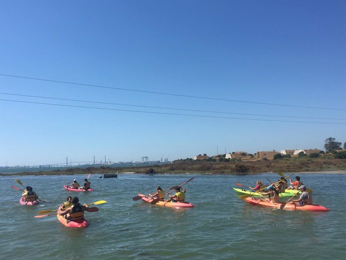 Actividades de ocio sostenible en la Bahía Sur. 