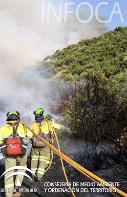 Bombero trabaja en incendio forestal en casares málaga  infoca