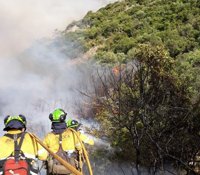Más de 120 bomberos trabajarán durante la noche contra el incendio forestal de Casares (Málaga)