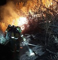 Desactivado el nivel 1 del Plan de Emergencias por el incendio forestal de Casares (Málaga)