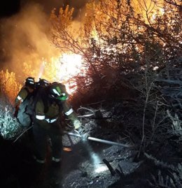 Incendio forestal originado en Casares (Málaga)