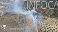 Estabilizado el incendio forestal declarado en el paraje Río Turón, en Ardales