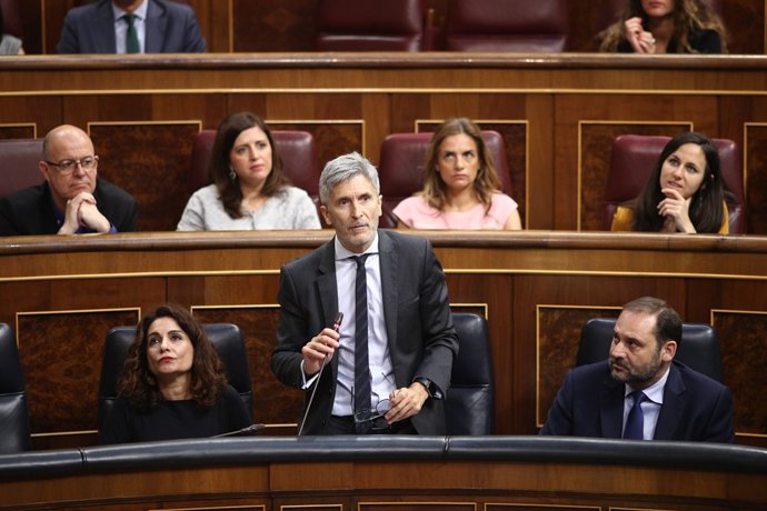 Fernando Gran Marlaska, ministre de l'Interior (arxiu)