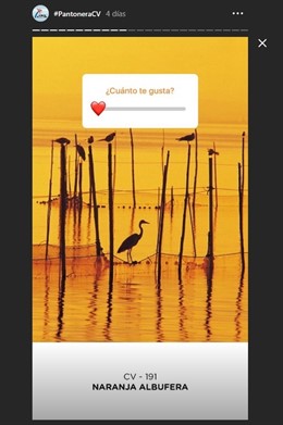 La Comunitat busca los colores de la campaña #MediterráneoEnVivo