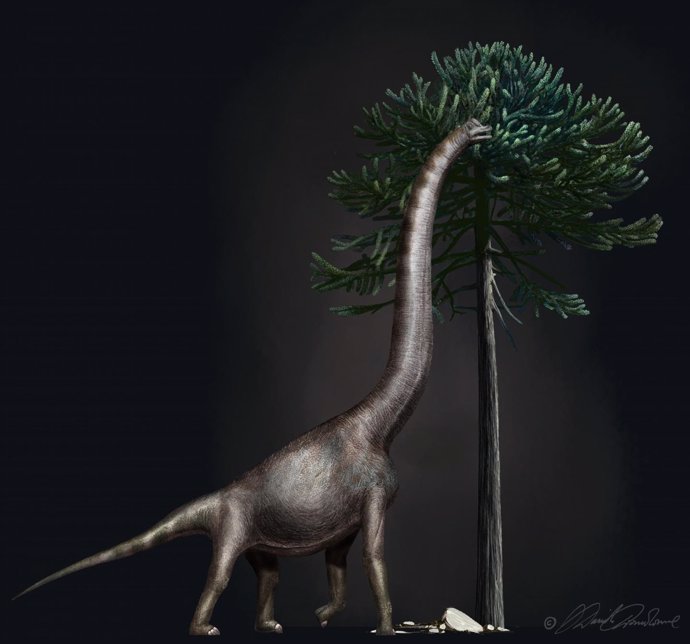 Ilustración de un braquiosaurio comiendo de un árbol Araucaria