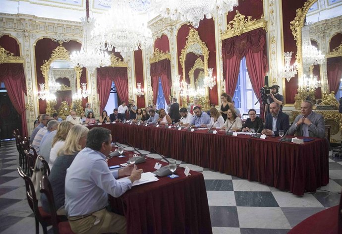 Pleno de Diputación de Cádiz