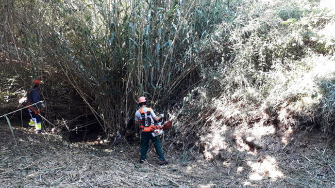 Agencia Catalana de Noticias