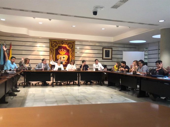 Pleno del Ayuntamiento de Punta Umbría (Huelva). 
