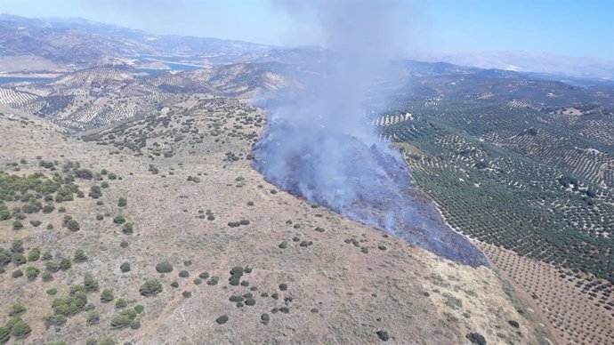 Incendio agrícola en Cuevas de San Marcos
