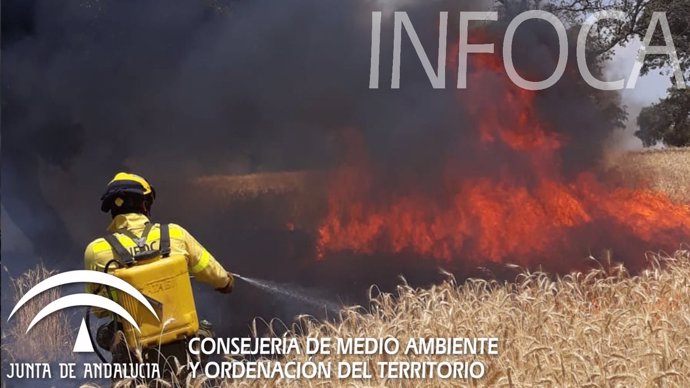 Un bombero del Infoca ataca las llamas en un campo de cereales