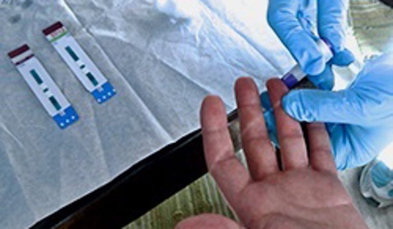 Investigación