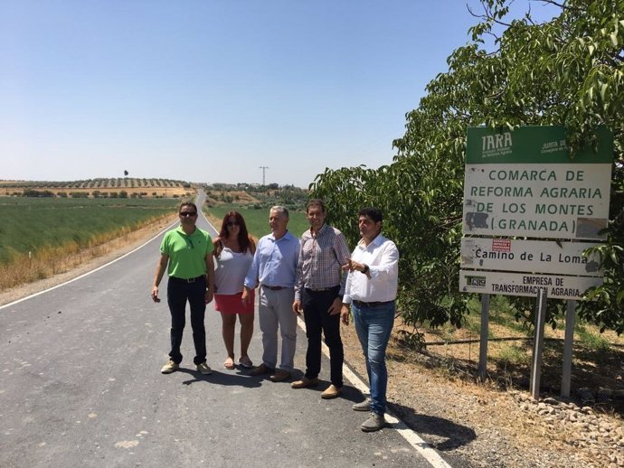Diputación destina más de 300.000 euros a la mejora de caminos en Íllora