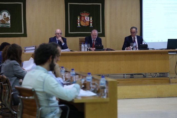 Pleno de la Diputación de Sevilla