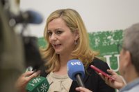 PSOE-A emplaza a escuchar las "explicaciones" del consejero de Empleo sobre las tarjetas de la Faffe