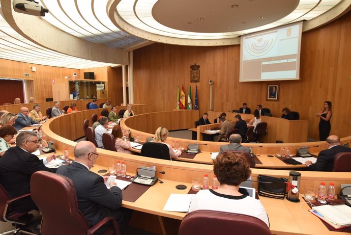 Pleno de la Diputación de Granada