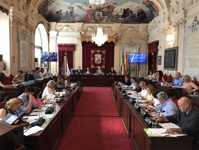 Pleno del Ayuntamiento de Málaga julio 2018