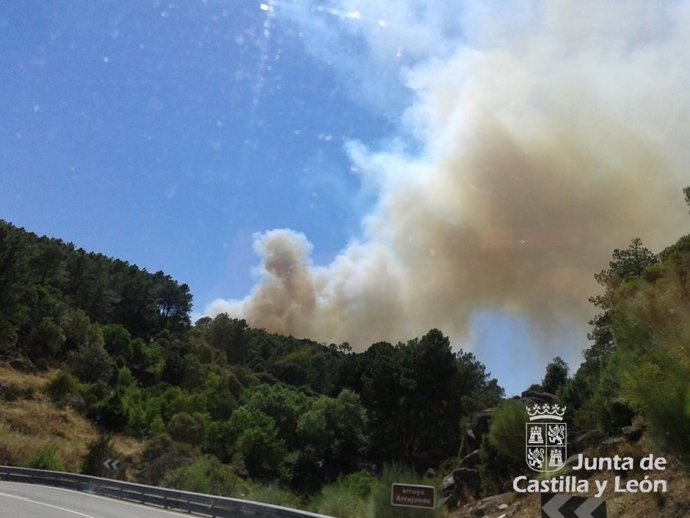 Incendio que afecta a la zona de Navaluenga (Ávila)
