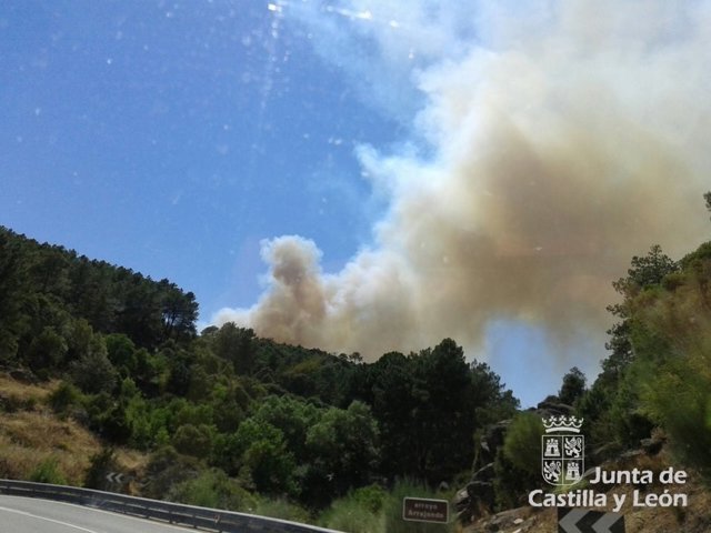 Incendio que afecta a la zona de Navaluenga (Ávila)
