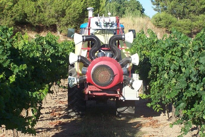 Imágen de una viña.