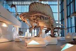  Galería De Vida Prehistórica – Museo De Historia Natural I
