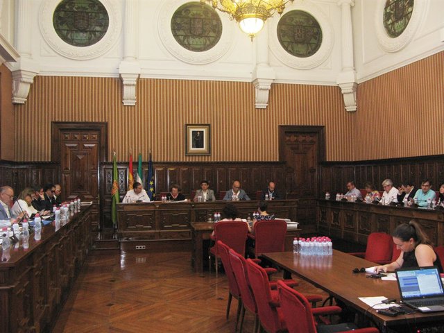 Pleno en la Diputación de Jaén
