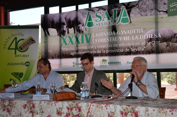 José Manuel Molina, José Manuel Roca y Ricardo Sierra.